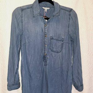 American Eagle Chambray Shirtdress